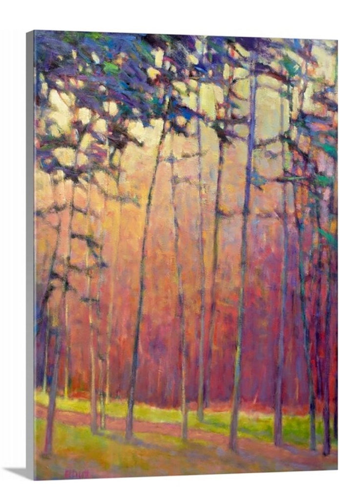 Light Effects - Open Edition Canvas Print - Liza Pruitt