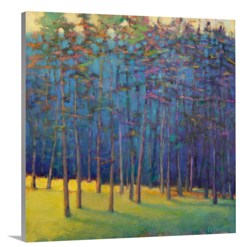 Light Moving Through II - Limited Edition Canvas Print - Liza Pruitt