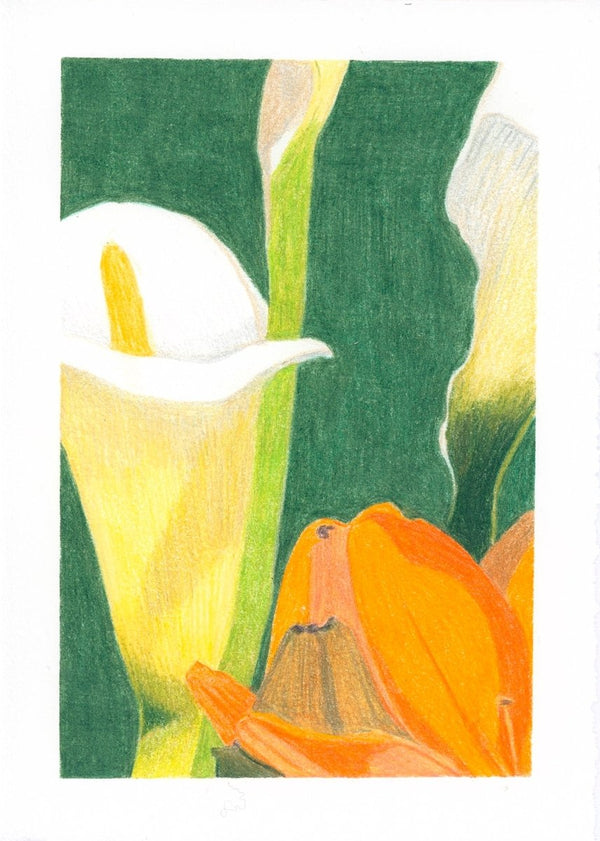 Lillies Blooming in Istanbul | 7" h x 5” w | Unframed - Liza Pruitt