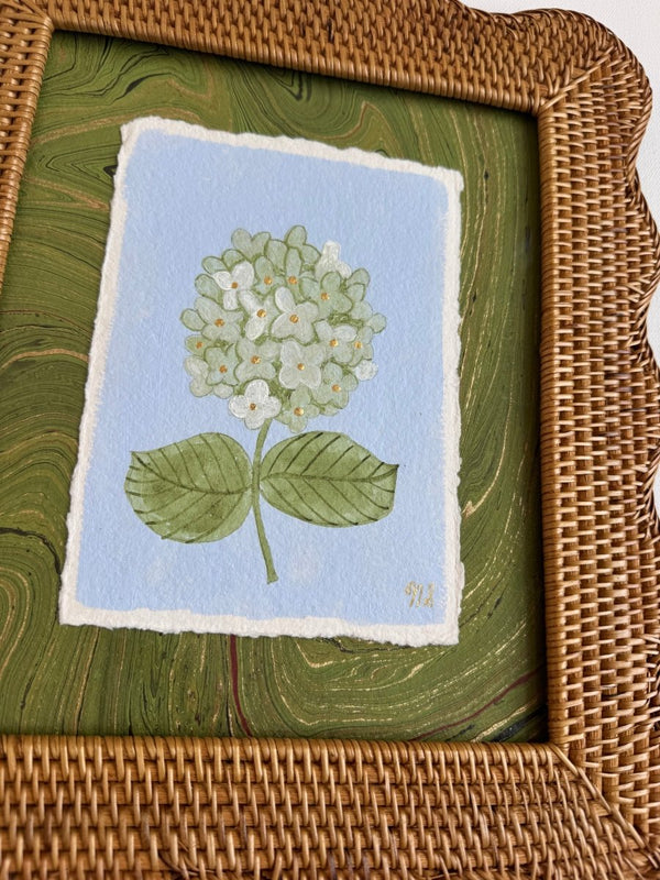 Limelight Hydrangea | 11.5" h x 13.5" w | Framed - Liza Pruitt