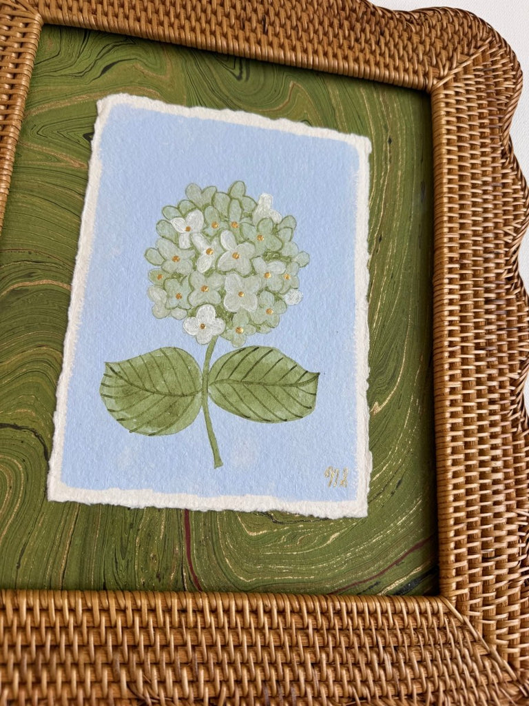 Limelight Hydrangea | 11.5" h x 13.5" w | Framed - Liza Pruitt