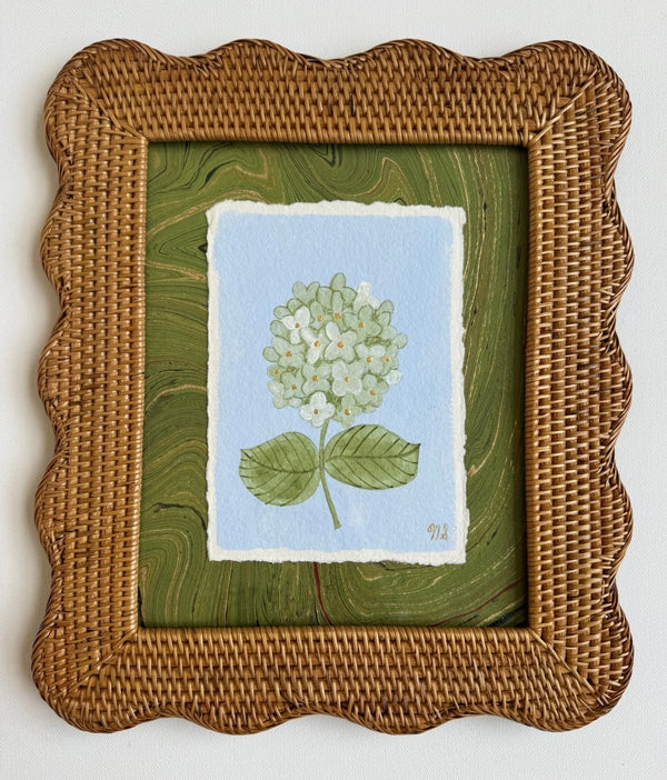 Limelight Hydrangea | 11.5" h x 13.5" w | Framed - Liza Pruitt