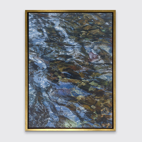Little Branch - Limited Edition Canvas Print - Liza Pruitt