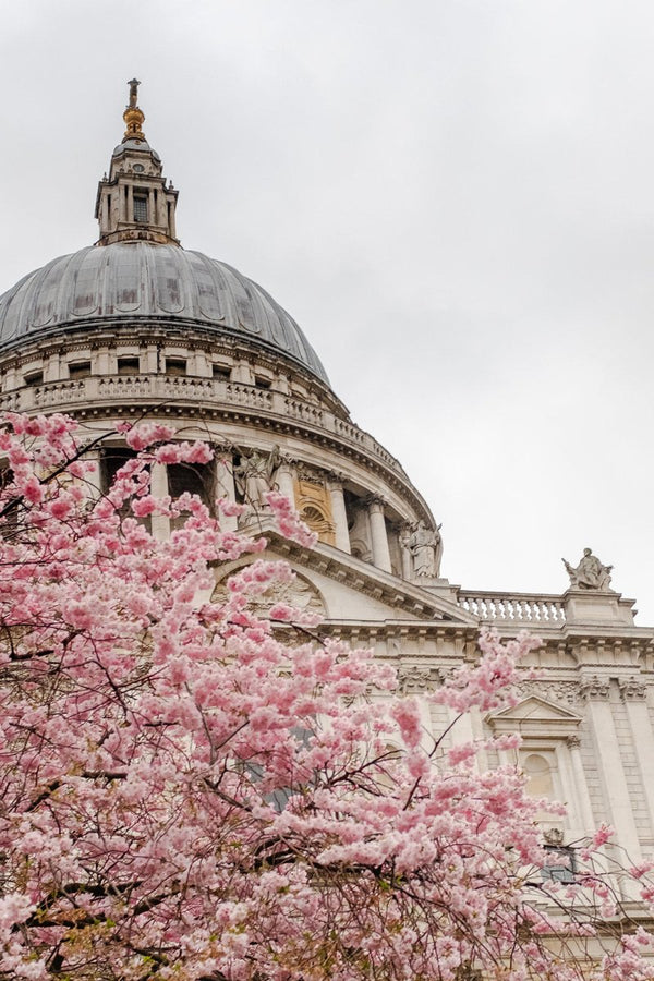 London I - Liza Pruitt