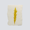 Medium Mustard Gold Angel Feather - Liza Pruitt