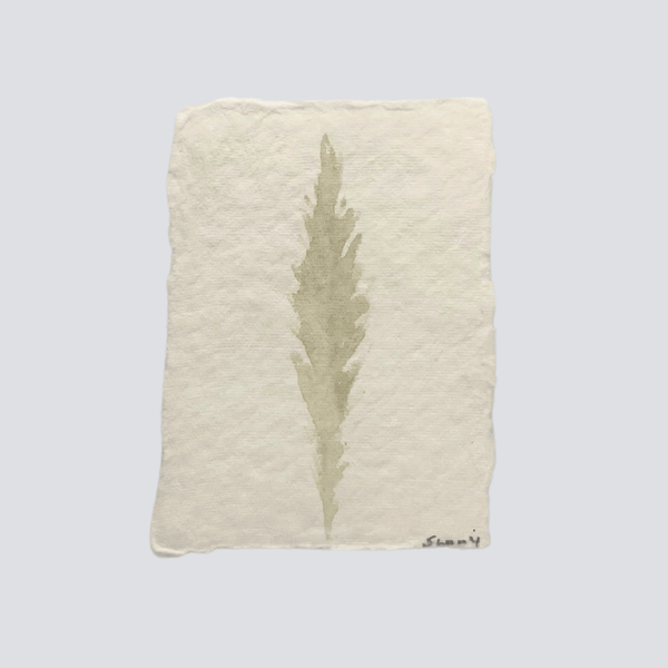 Medium Pale Sage Angel Feather - Liza Pruitt