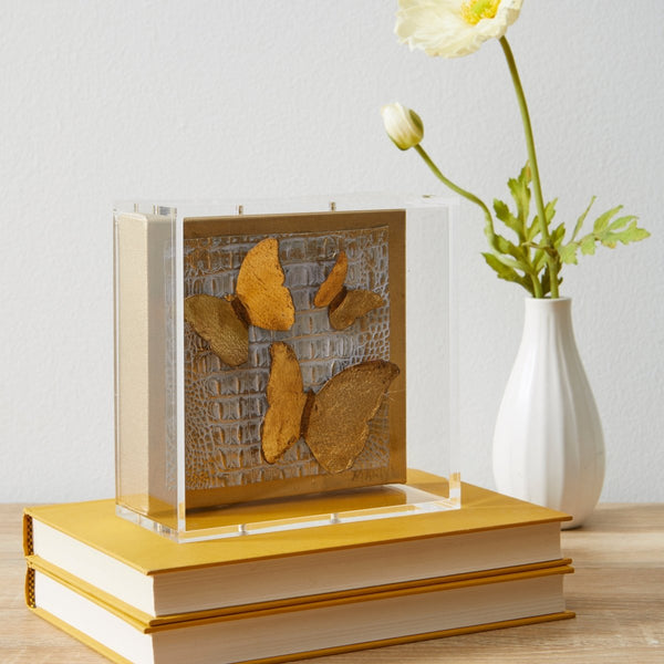 Modern UV - Grade Acrylic Shadowbox with Linen Canvas 2" Depth - Liza Pruitt