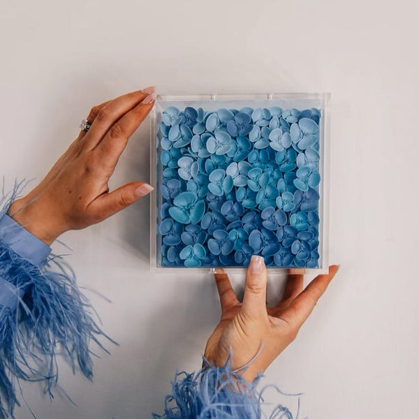 Modern UV - Grade Acrylic Shadowbox with Linen Canvas 3" Depth - Liza Pruitt