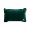 More Nutty Needlepoint Pillow - Liza Pruitt
