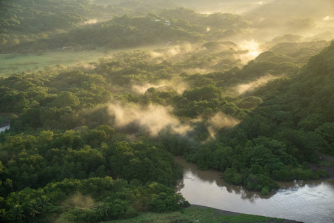 Morning Mist - Liza Pruitt