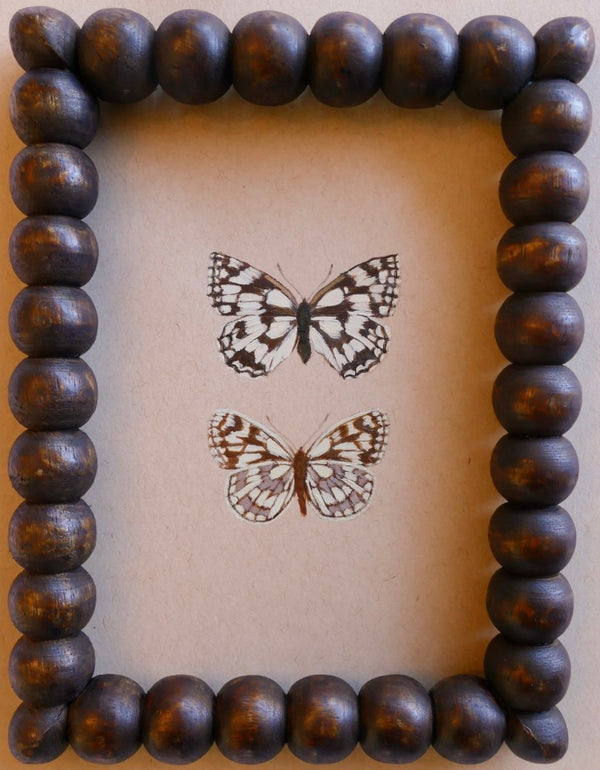 New Creation | 8" h x 6" w | Framed - Liza Pruitt