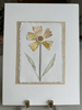 Ochre I | 12" h x 9" w - Liza Pruitt