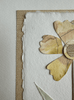 Ochre I | 12" h x 9" w - Liza Pruitt