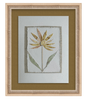 Ochre II | 12" h x 9" w - Liza Pruitt