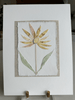 Ochre II | 12" h x 9" w - Liza Pruitt