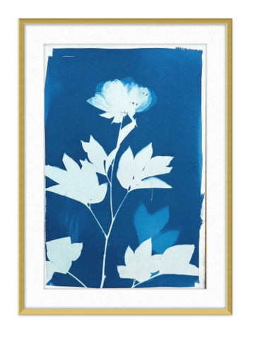 Peony II | 18" h x 12" w - Liza Pruitt