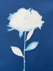 Peony Silhouette | 14" h x 11" w - Liza Pruitt