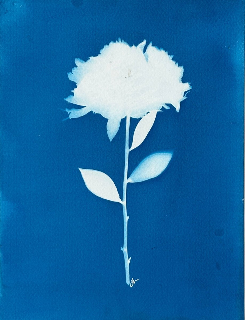 Peony Silhouette | 14" h x 11" w - Liza Pruitt