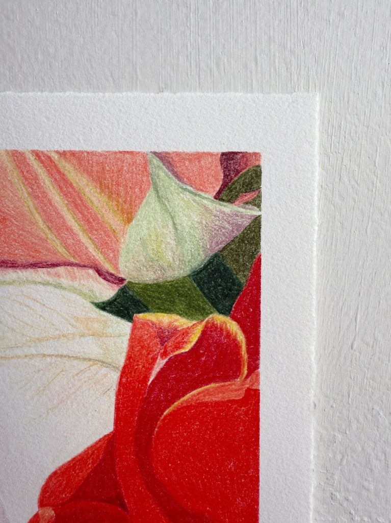 Petal Embrace | 7" h x 5” w | Unframed - Liza Pruitt