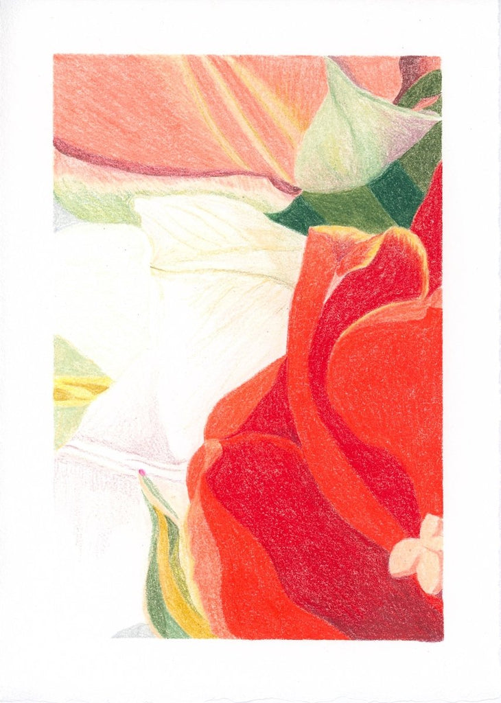 Petal Embrace | 7" h x 5” w | Unframed - Liza Pruitt