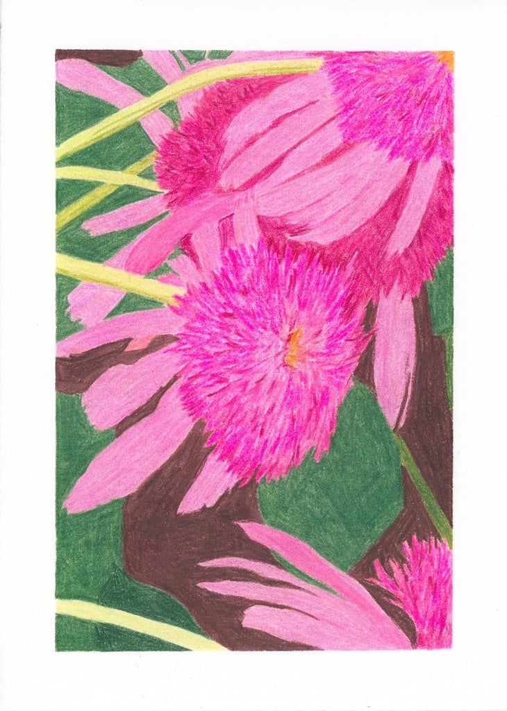 Pink Pom Pom Balm | 7" h x 5” w | Unframed - Liza Pruitt