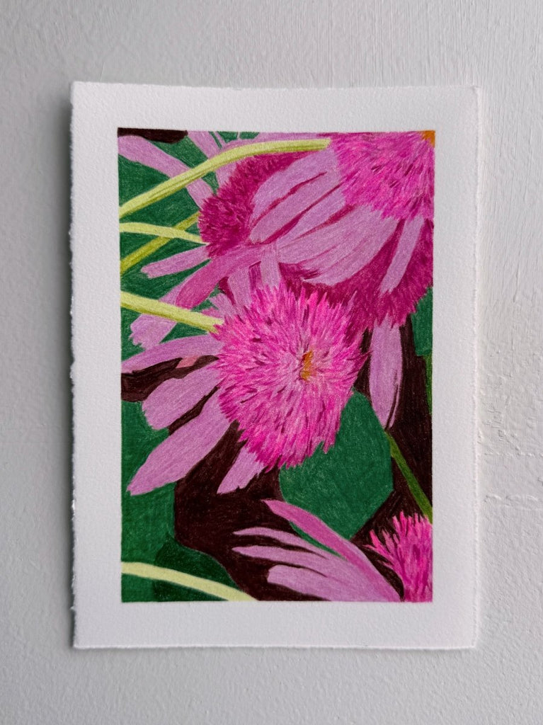 Pink Pom Pom Balm | 7" h x 5” w | Unframed - Liza Pruitt