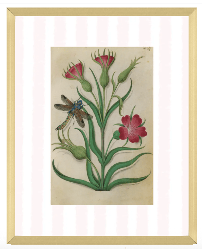 Pink & White Botanical Study, Giclee Print : STUDY 1 - Liza Pruitt