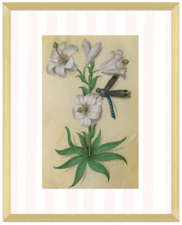 Pink & White Botanical Study, Giclee Print : STUDY 10 - Liza Pruitt