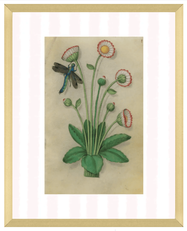 Pink & White Botanical Study, Giclee Print : STUDY 11 - Liza Pruitt