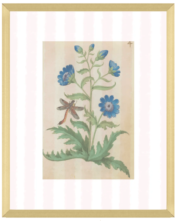 Pink & White Botanical Study, Giclee Print : STUDY 4 - Liza Pruitt