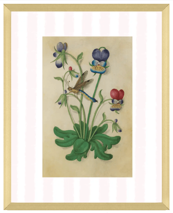 Pink & White Botanical Study, Giclee Print : STUDY 5 - Liza Pruitt