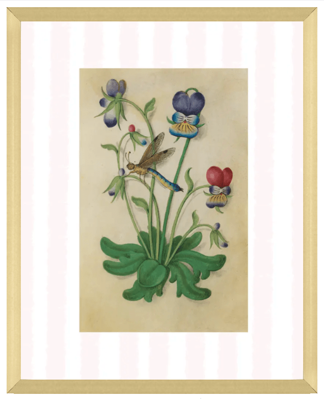 Pink & White Botanical Study, Giclee Print : STUDY 5 - Liza Pruitt