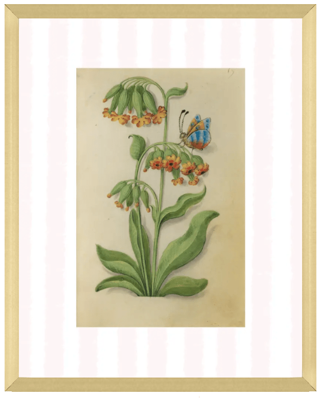 Pink & White Botanical Study, Giclee Print : STUDY 6 - Liza Pruitt