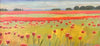 Poppies | 14" h x 30" w | Framed - Liza Pruitt