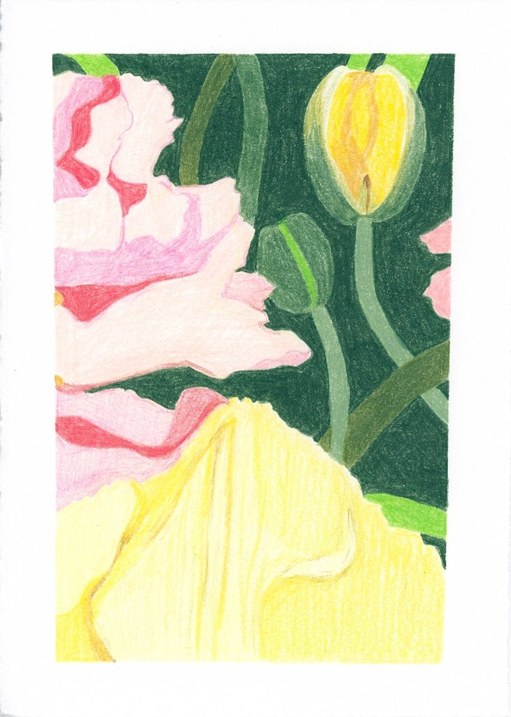 Poppy Dance | 7" h x 5” w | Unframed - Liza Pruitt