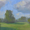 Poppy Field | 30" h x 30" w - Liza Pruitt