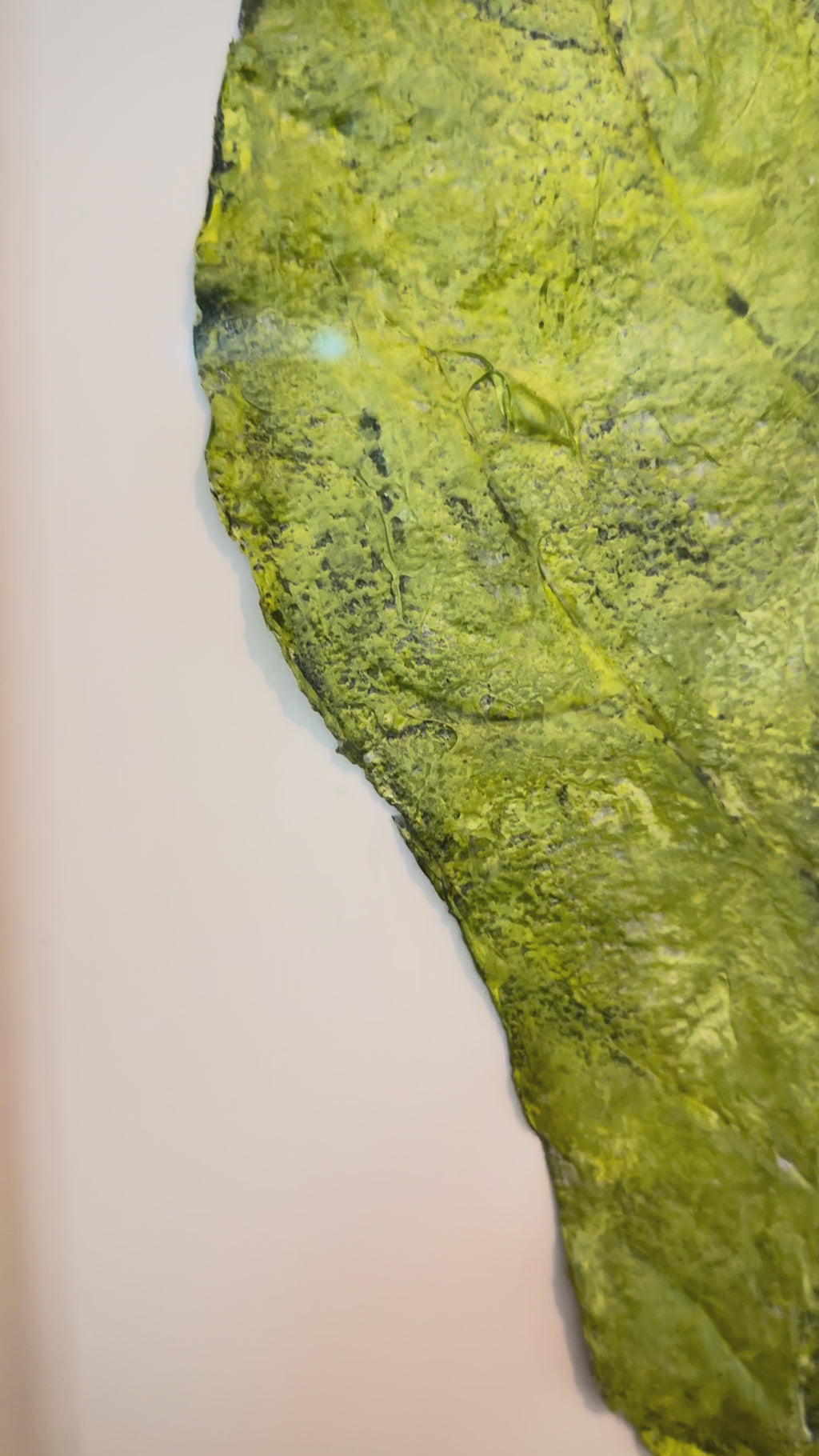 Green fig leafs horizontal nature inspired artwork 