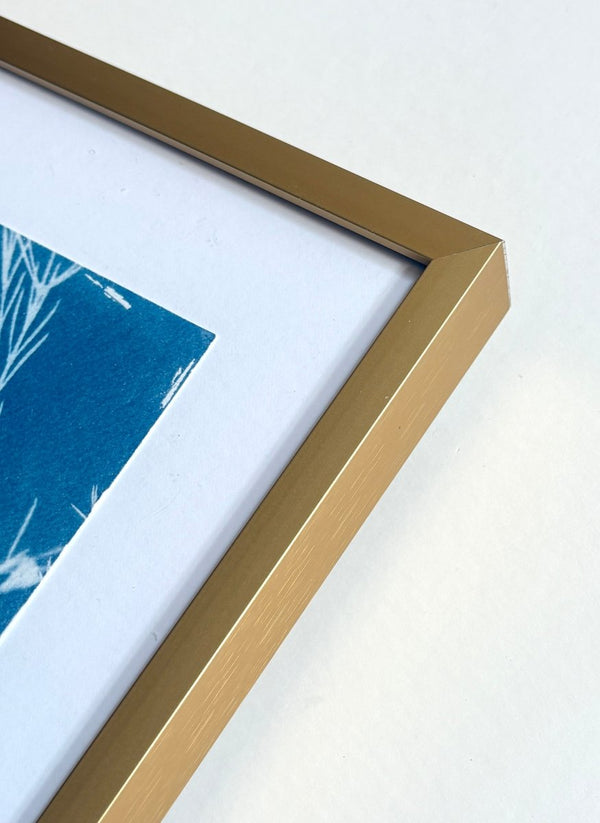 Protea with Gold | 12" h x 9" w | Framed - Liza Pruitt