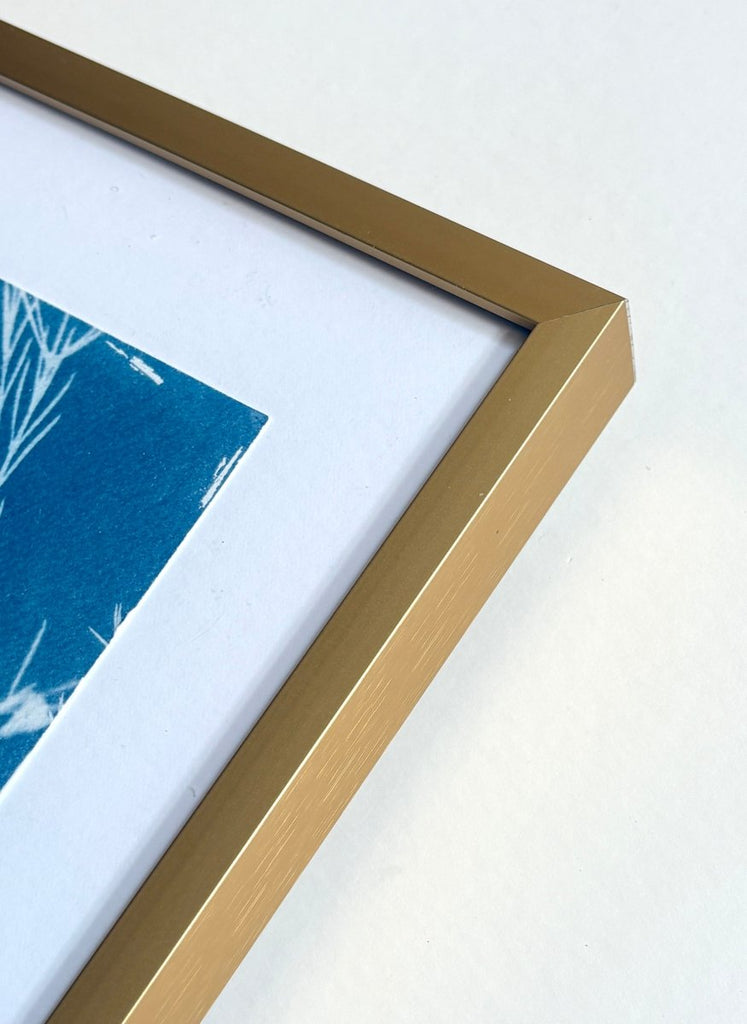 Protea with Gold | 12" h x 9" w | Framed - Liza Pruitt