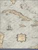 Push Pin Caribbean Map - Rustic Vintage - Pins Included! - Liza Pruitt