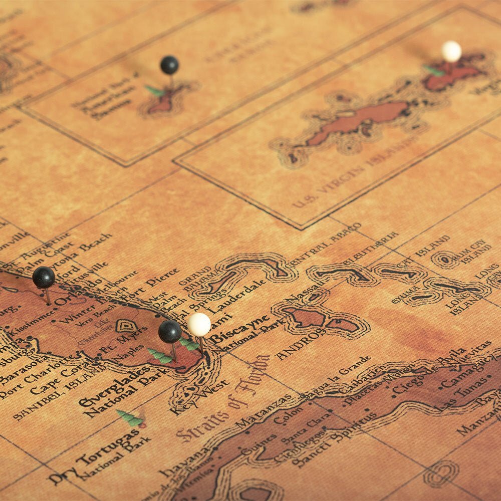 Push Pin National Parks Map - Golden Aged - Pins Included! - Liza Pruitt