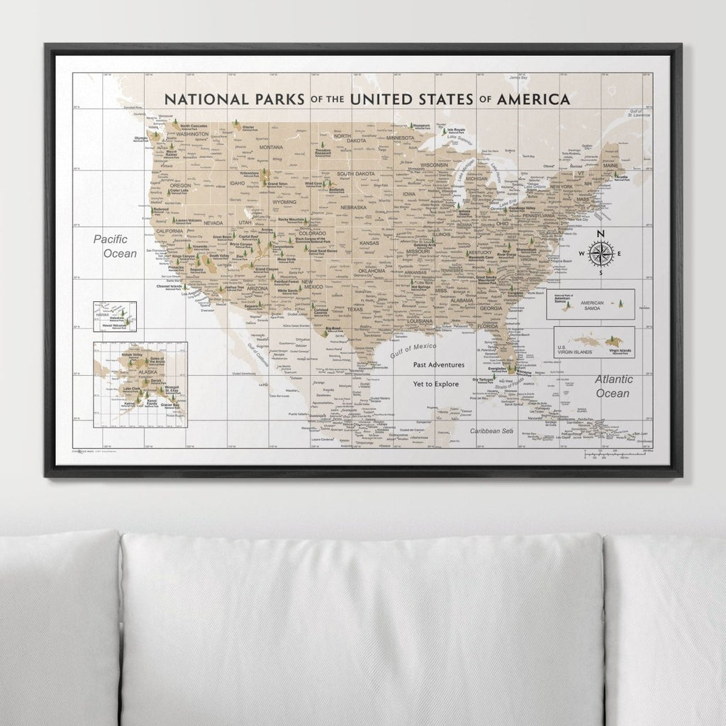Push Pin National Parks Map - Light Brown Color Splash - Pins Included! - Liza Pruitt