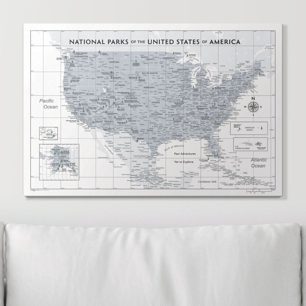 Push Pin National Parks Map - Light Gray Color Splash - Pins Included! - Liza Pruitt