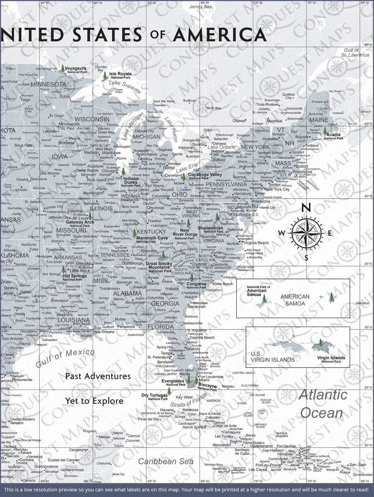Push Pin National Parks Map - Light Gray Color Splash - Pins Included! - Liza Pruitt
