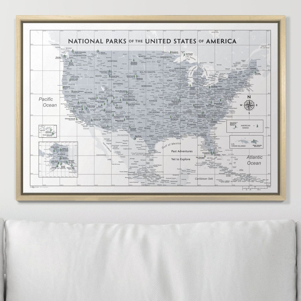 Push Pin National Parks Map - Light Gray Color Splash - Pins Included! - Liza Pruitt