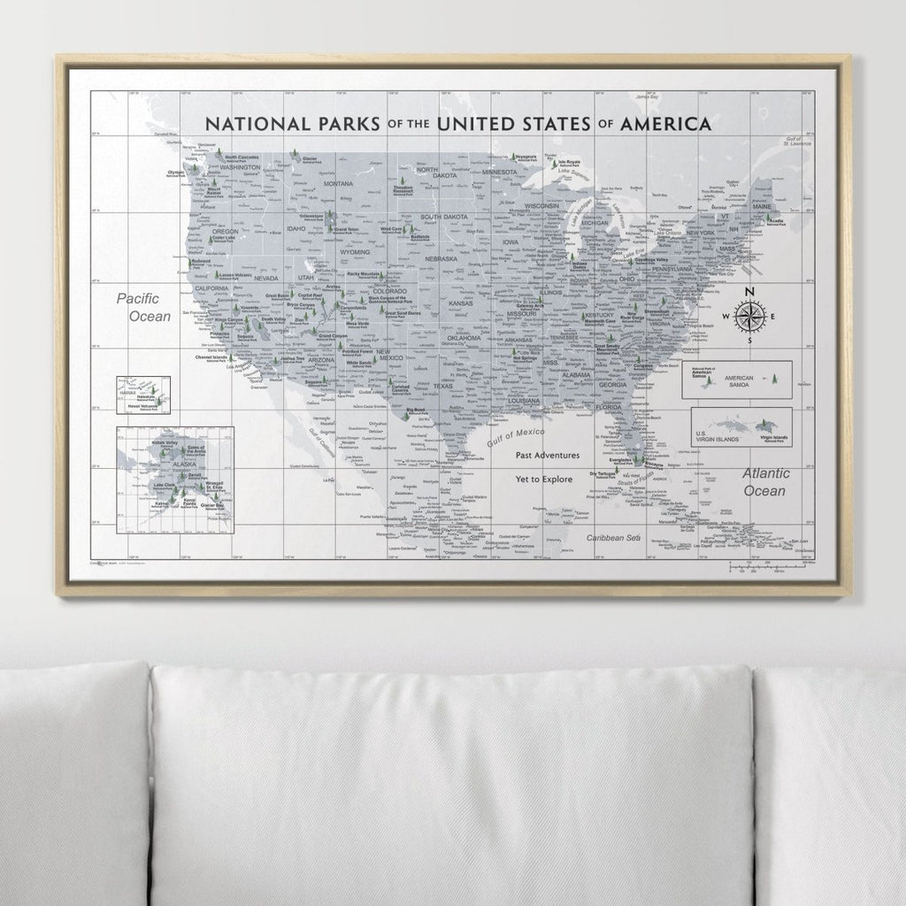 Push Pin National Parks Map - Light Gray Color Splash - Pins Included! - Liza Pruitt
