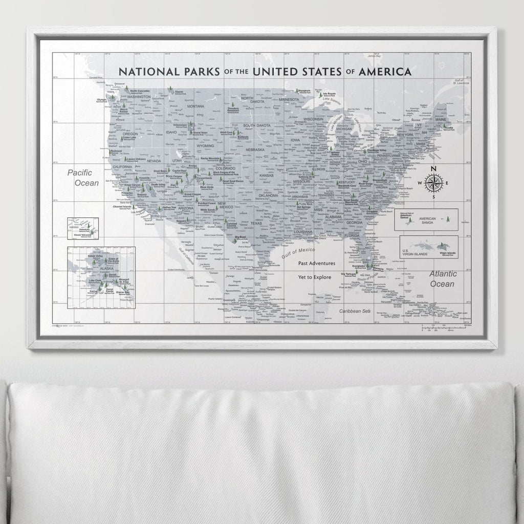 Push Pin National Parks Map - Light Gray Color Splash - Pins Included! - Liza Pruitt