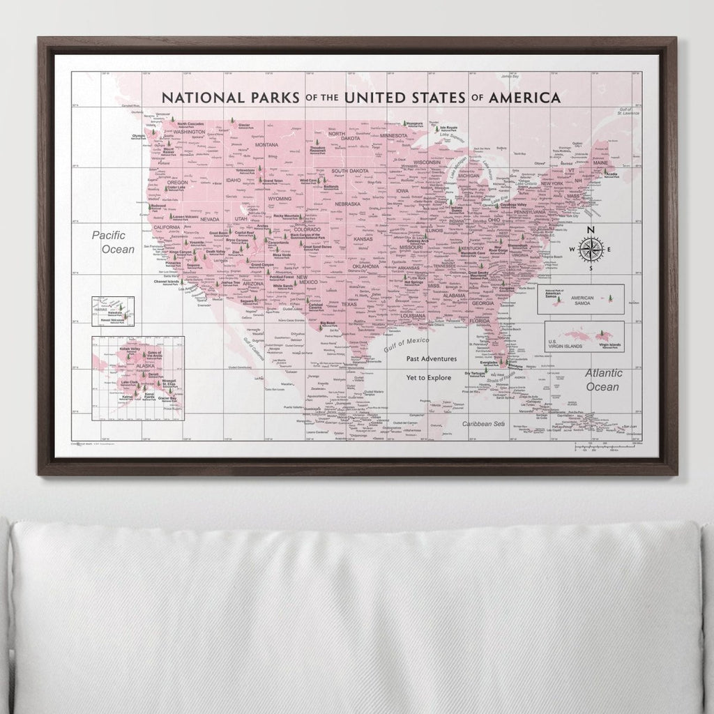 Push Pin National Parks Map - Pink Color Splash - Pins Included! - Liza Pruitt