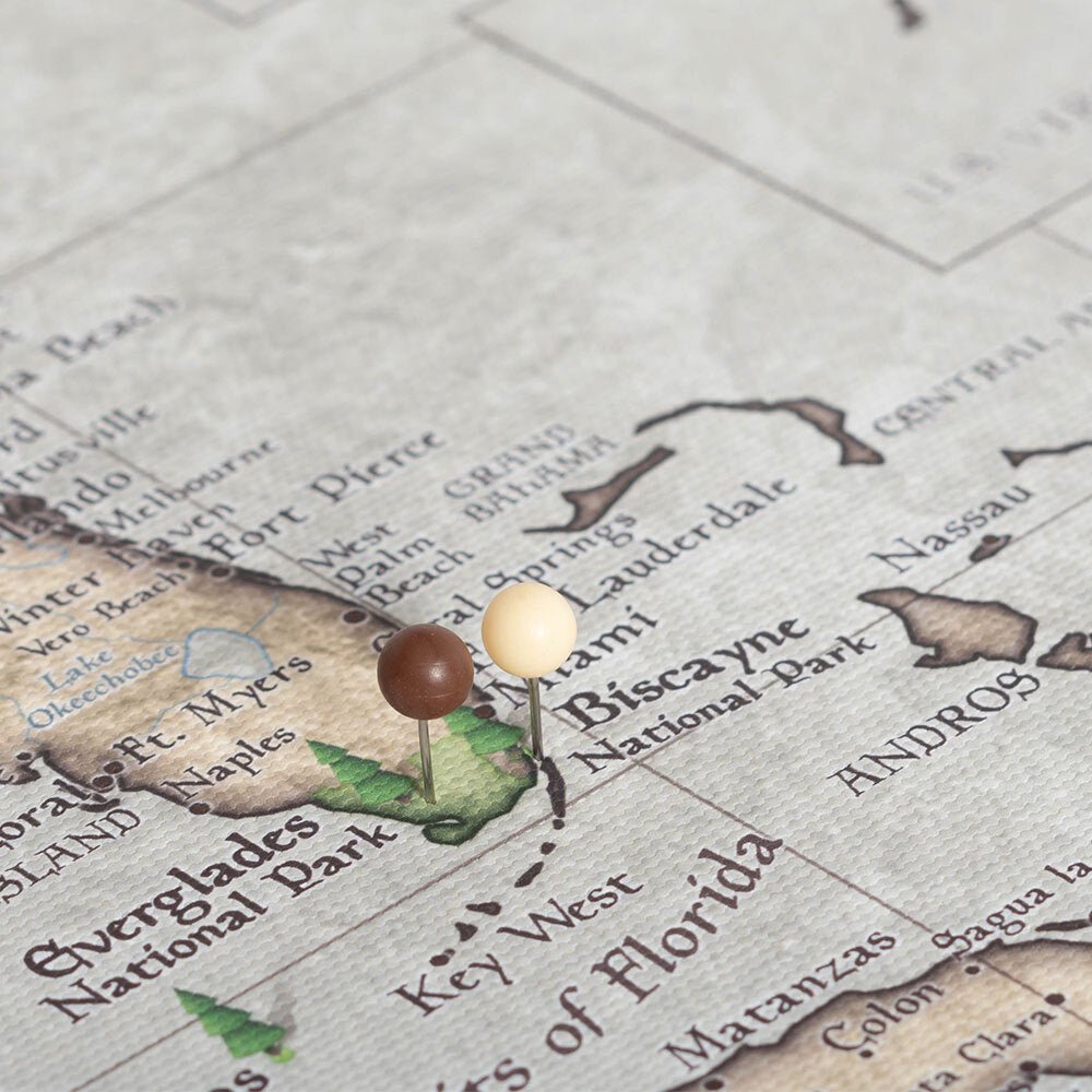 Push Pin National Parks Map - Rustic Vintage - Pins Included! - Liza Pruitt