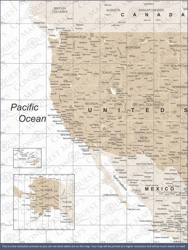 Push Pin USA Map Pin Board - Light Brown Color Splash - Pins Included! - Liza Pruitt